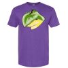 Softstyle® CVC T-Shirt Thumbnail